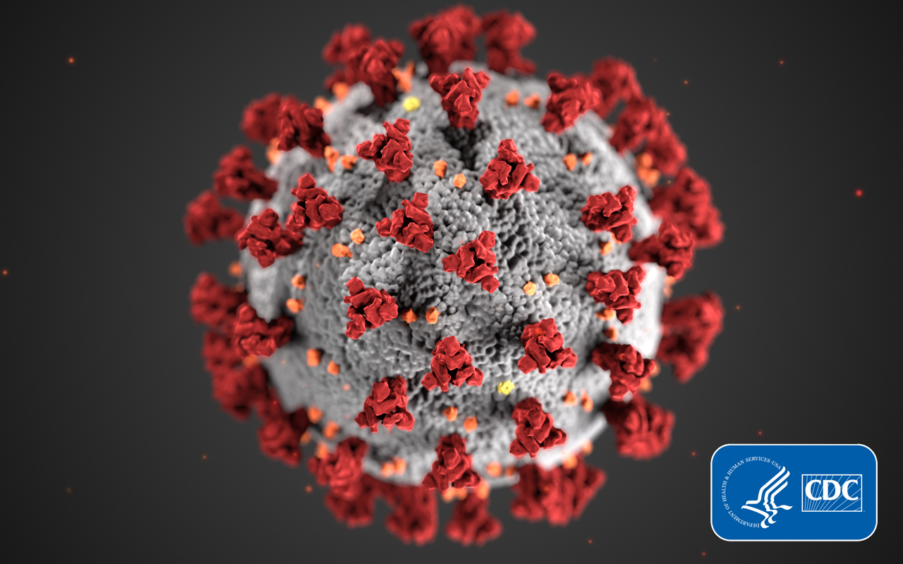 coronavirus picture